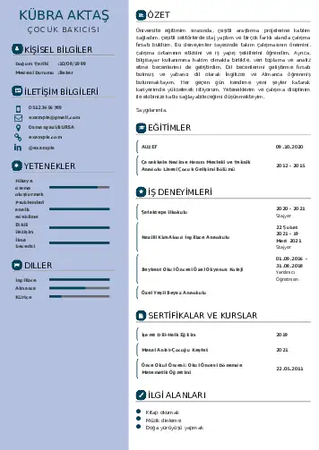 Çocuk Bakıcısı CV Örnekleri cv indir